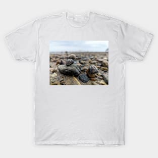 Snail and Rocks T-Shirt